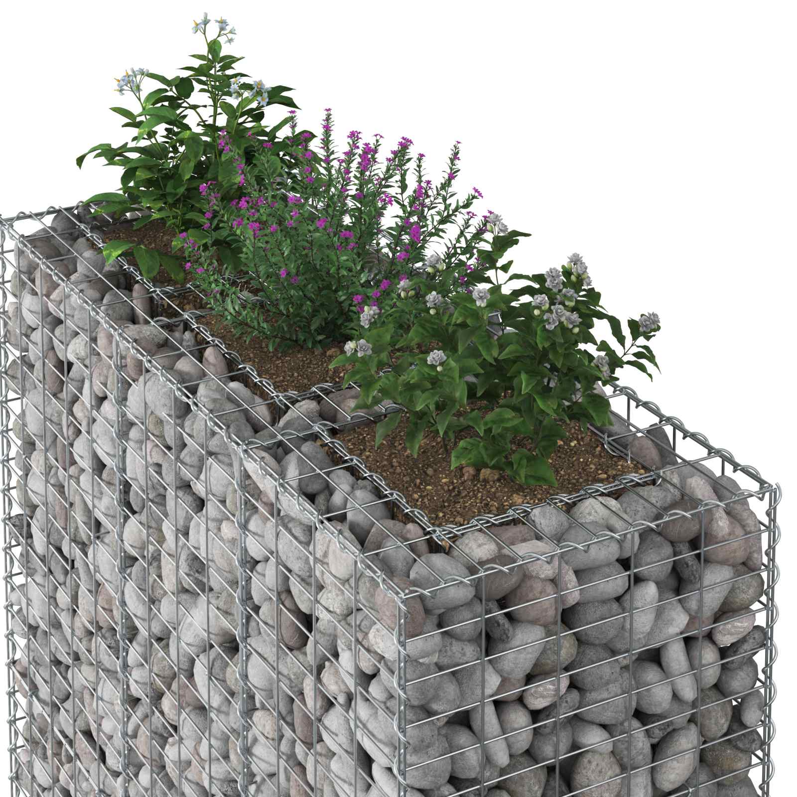 Gabionen Hochbeet 2 pcs Silber 260 x 60 x 55 cm