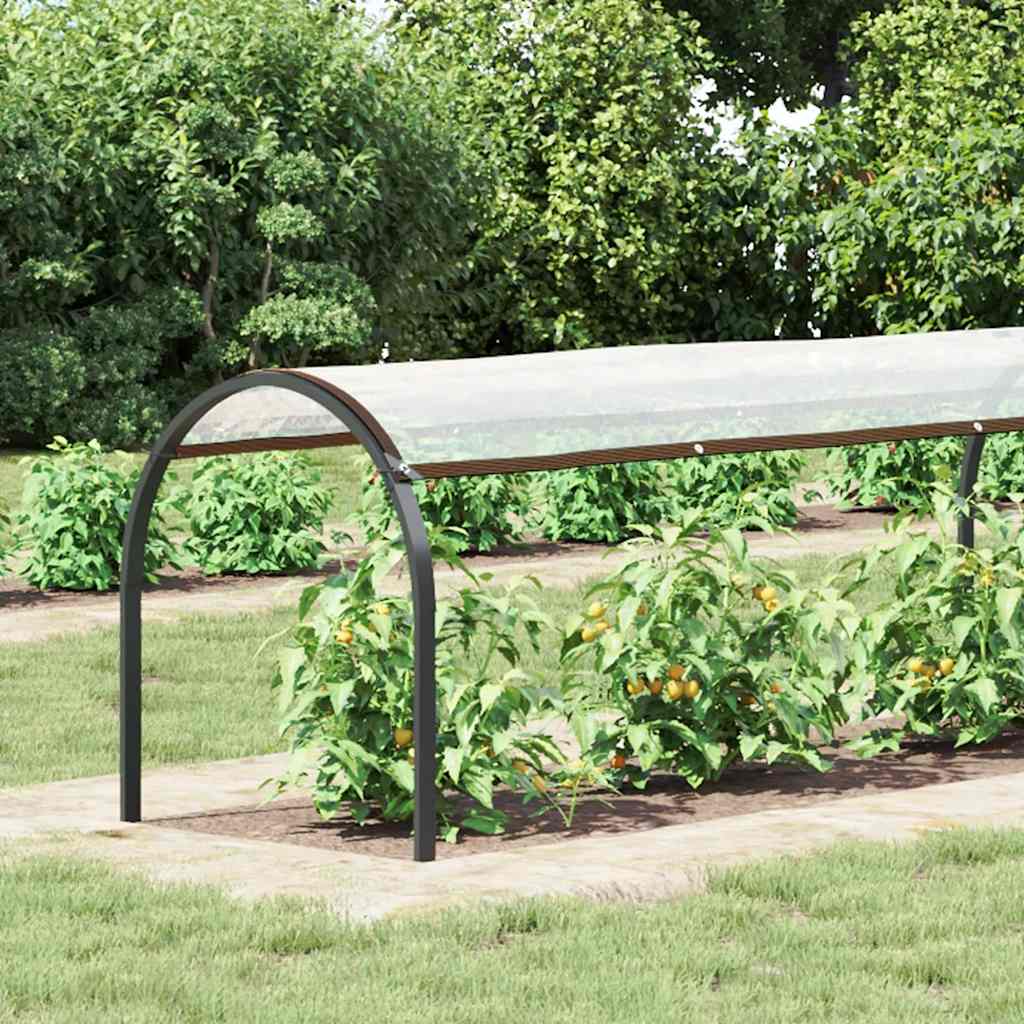 Transparente Plane mit Ösen 1x2 m Polyethylen