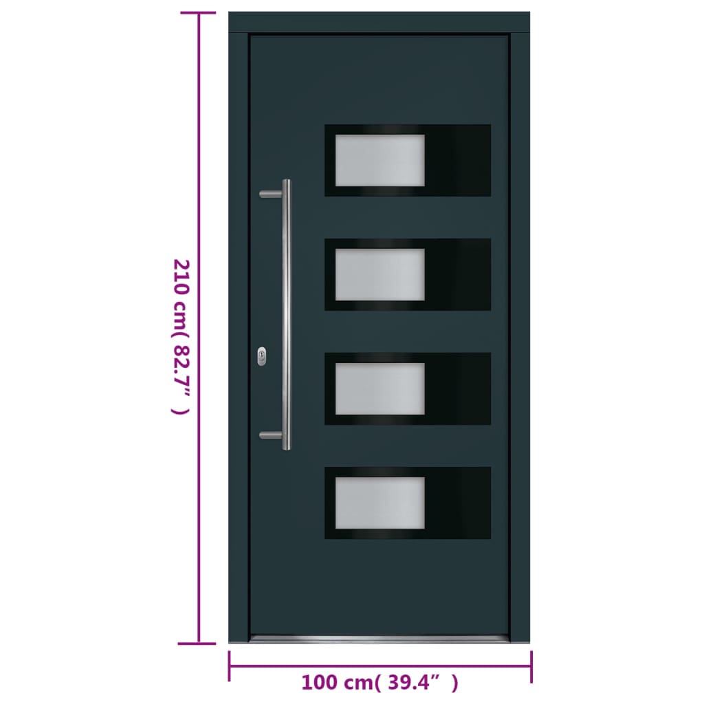 Haustür Anthrazit 100x210 cm Aluminium und PVC