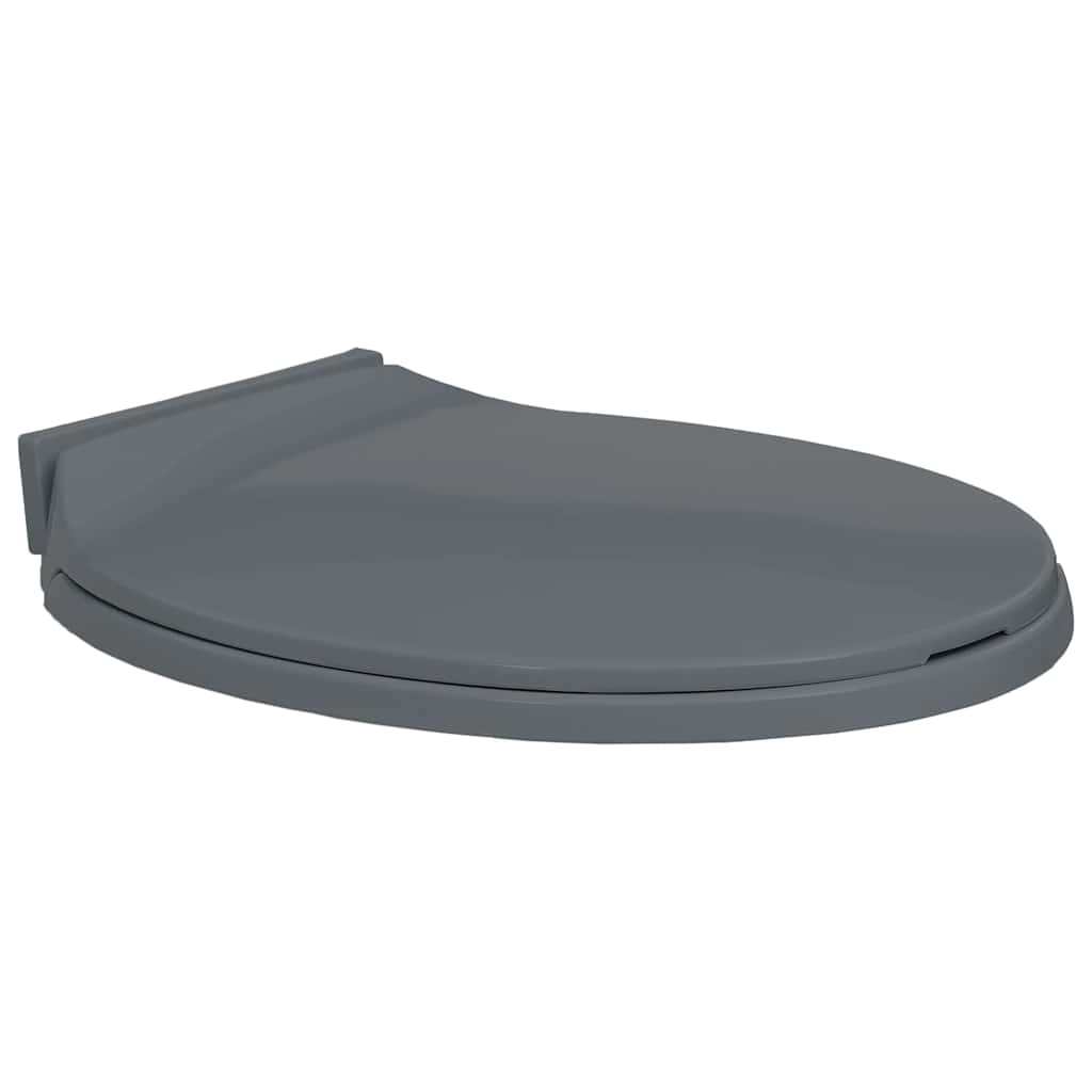Toilettensitz mit Absenkautomatik Hellgrau Oval