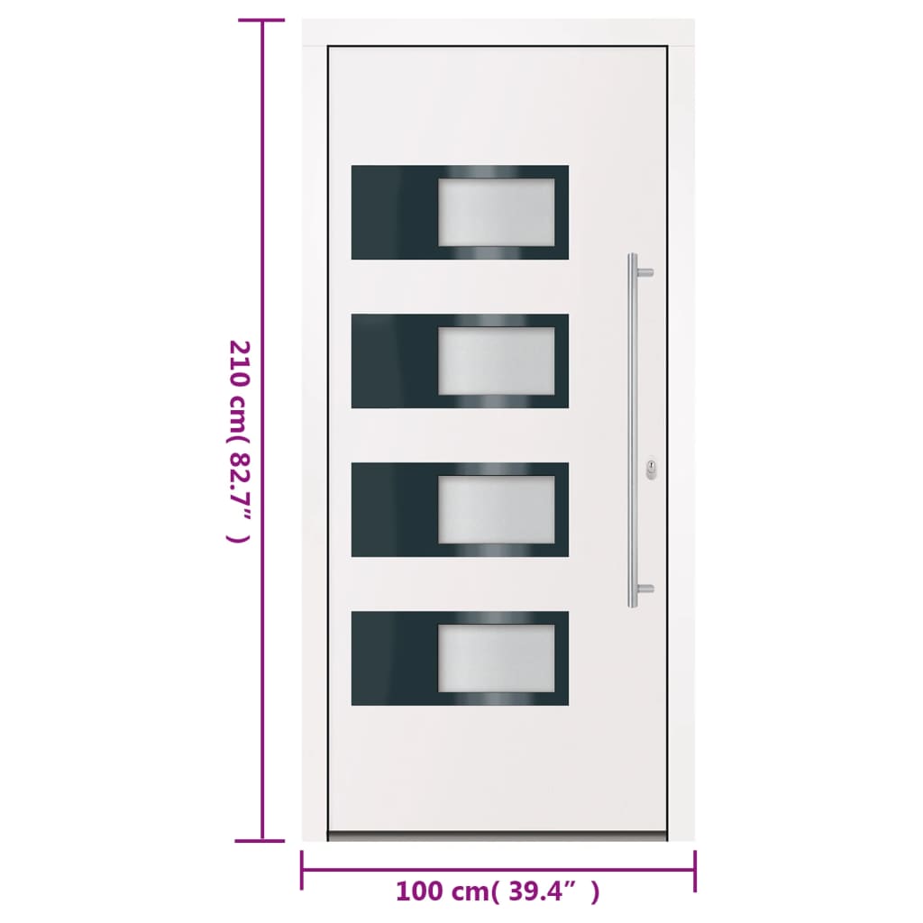 Haustür Anthrazit 100x210 cm Aluminium und PVC