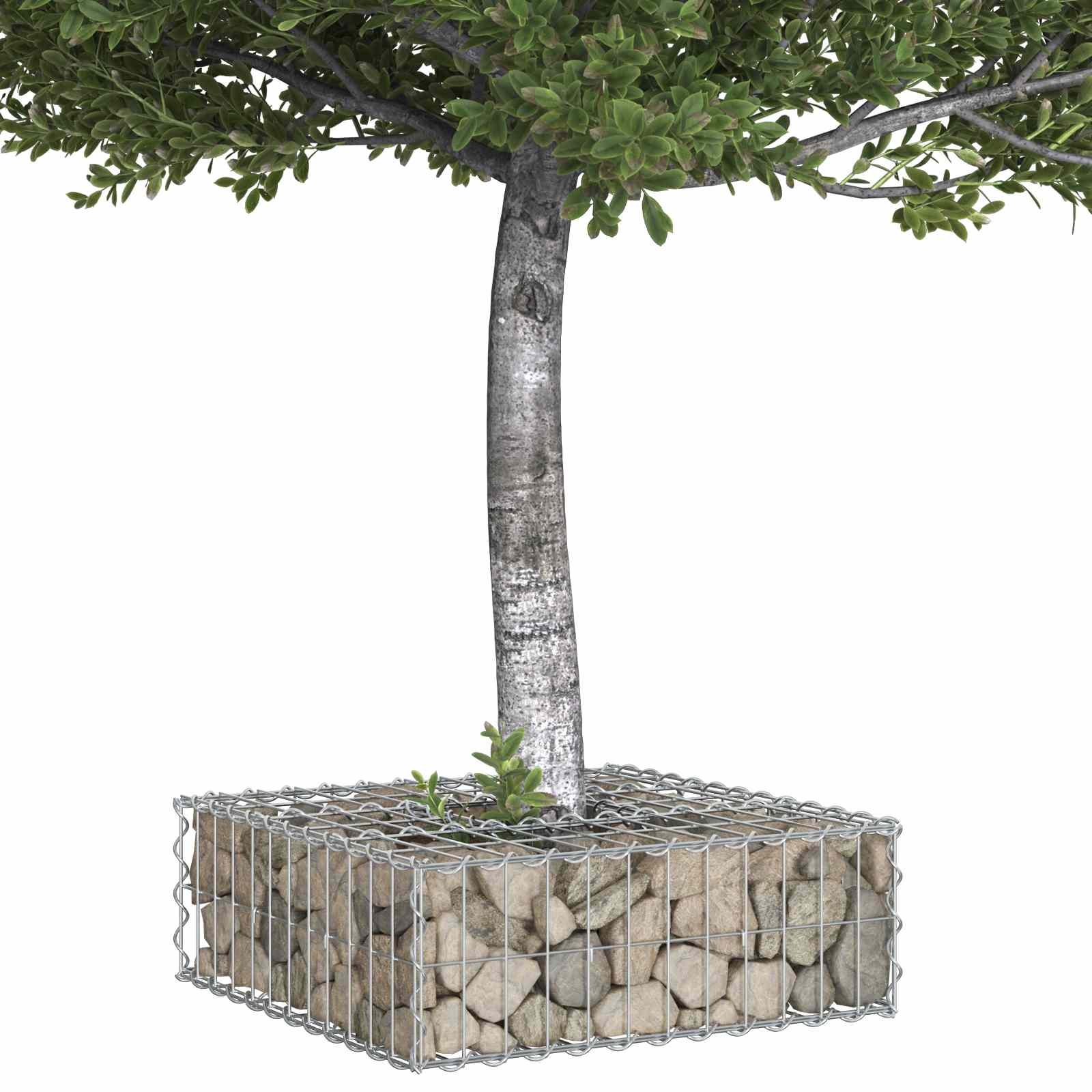 Gabionen Hochbeet Silber
