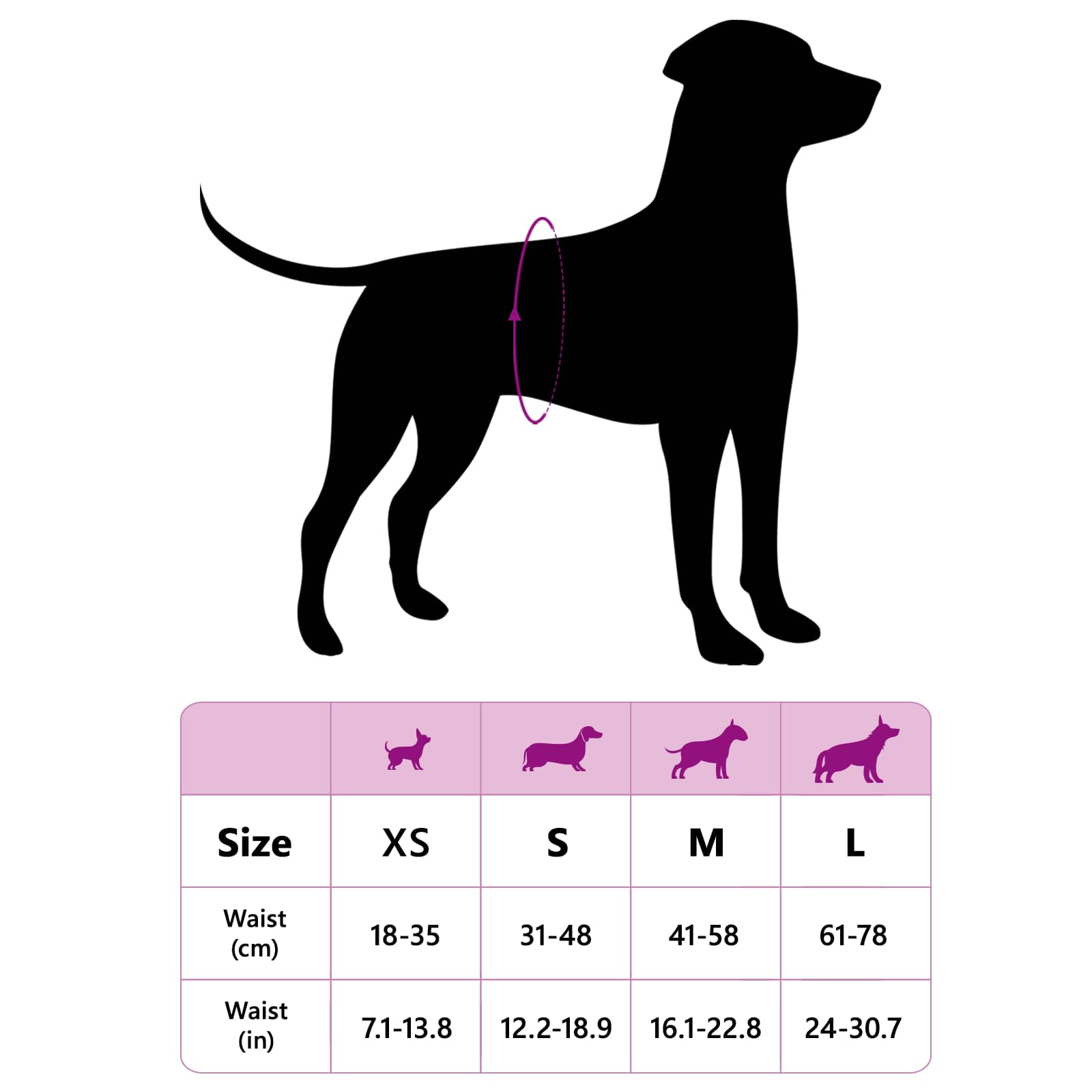 Einweg-Hundewindel für Rüden 30 pcs Weiß XS