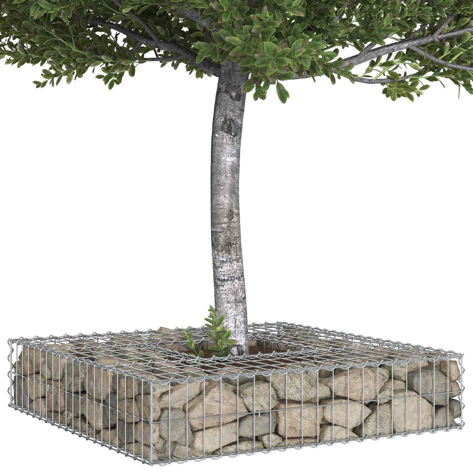 Gabionen Hochbeet Silber