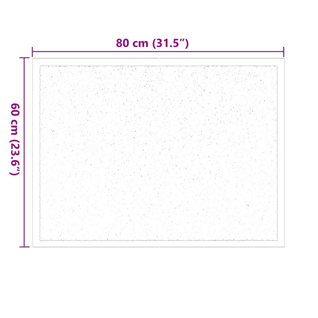 Fußmatte Anthrazit 60 x 40 x 1,2 cm Teddystoff