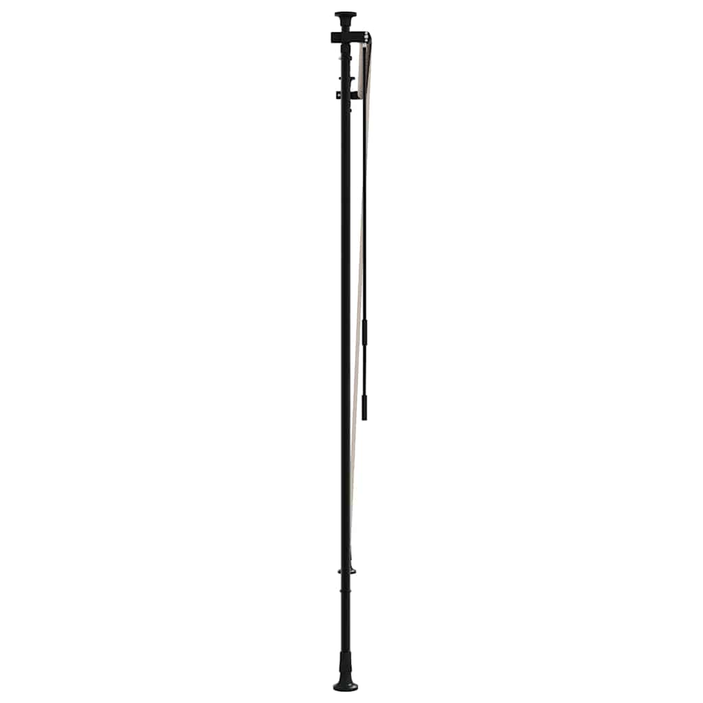Außenrollo 100 x 270 cm Anthrazit