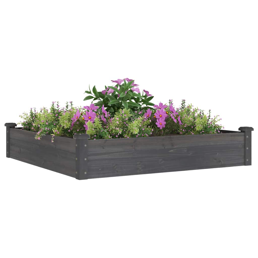 Hochbeet mit Einsatz Grau 120x45x25 cm Massivholz Tanne