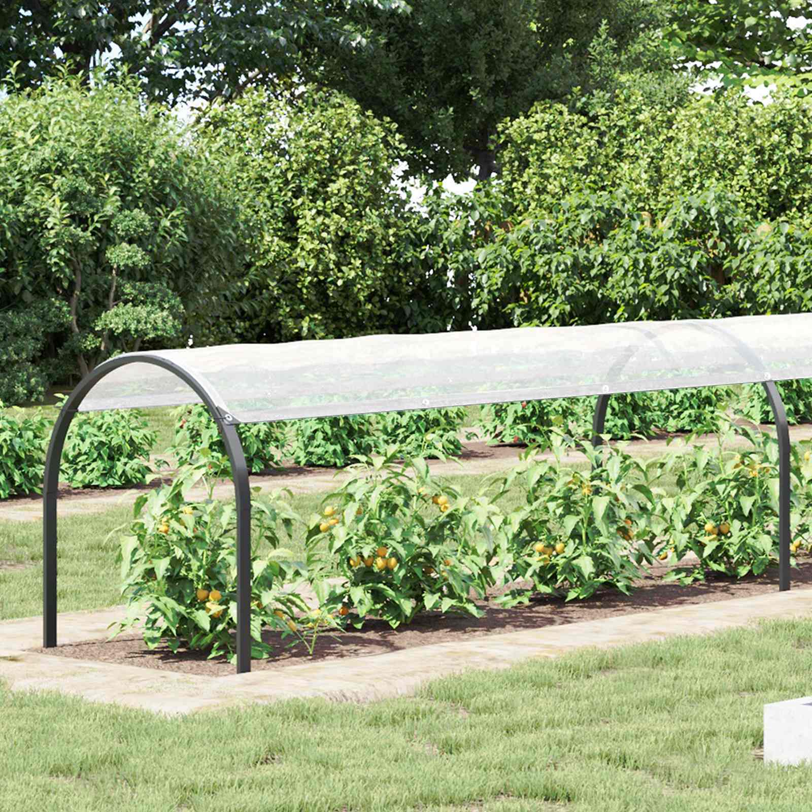 Pflanzenabdeckung mit Ösen 1x3 m Polyethylen