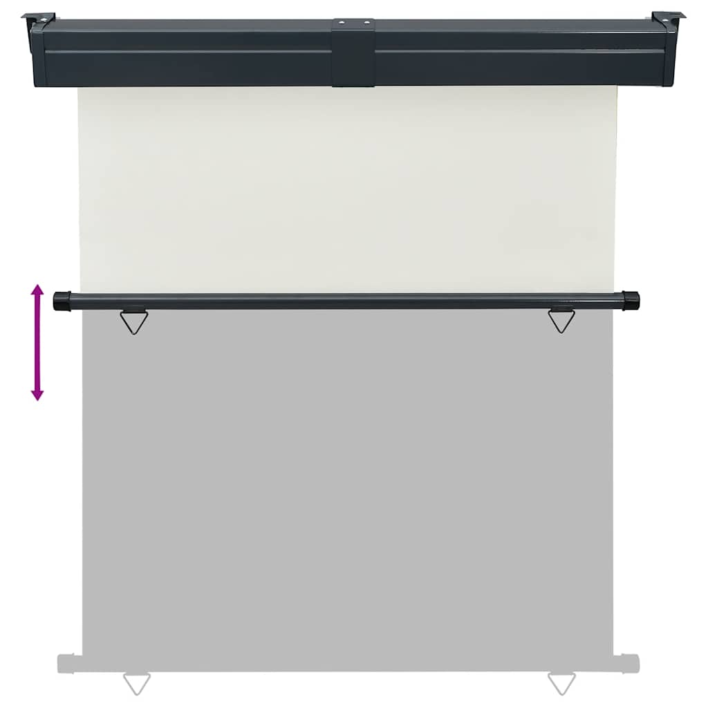 Balkon Seitenmarkise 60 x 250 cm 100% Polyester Eisen Stahl