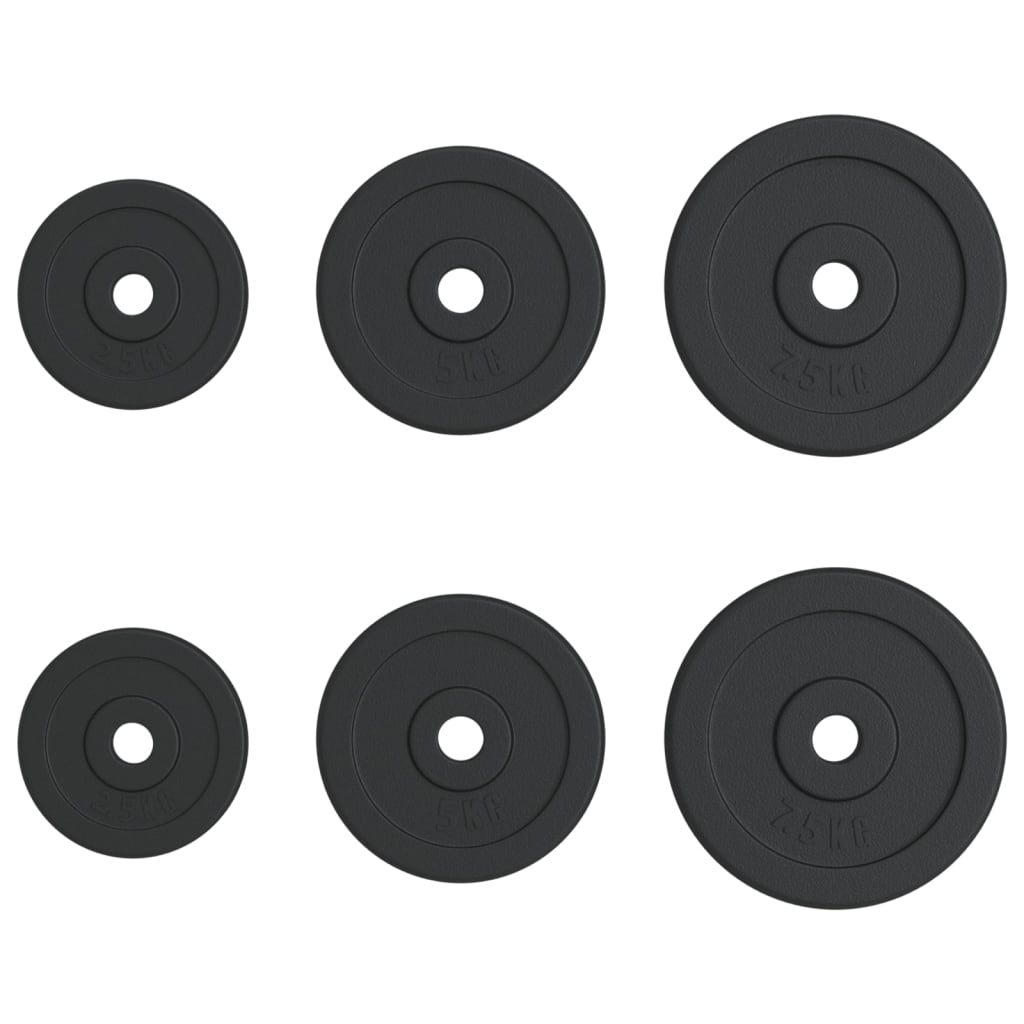 Hantelscheibe 40 kg Gusseisen