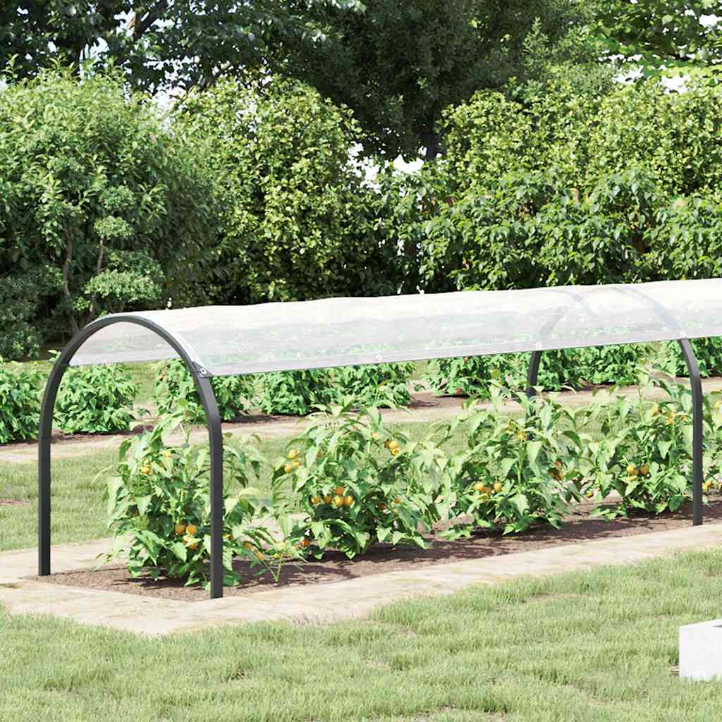 Transparente Plane mit Ösen 1x2 m Polyethylen