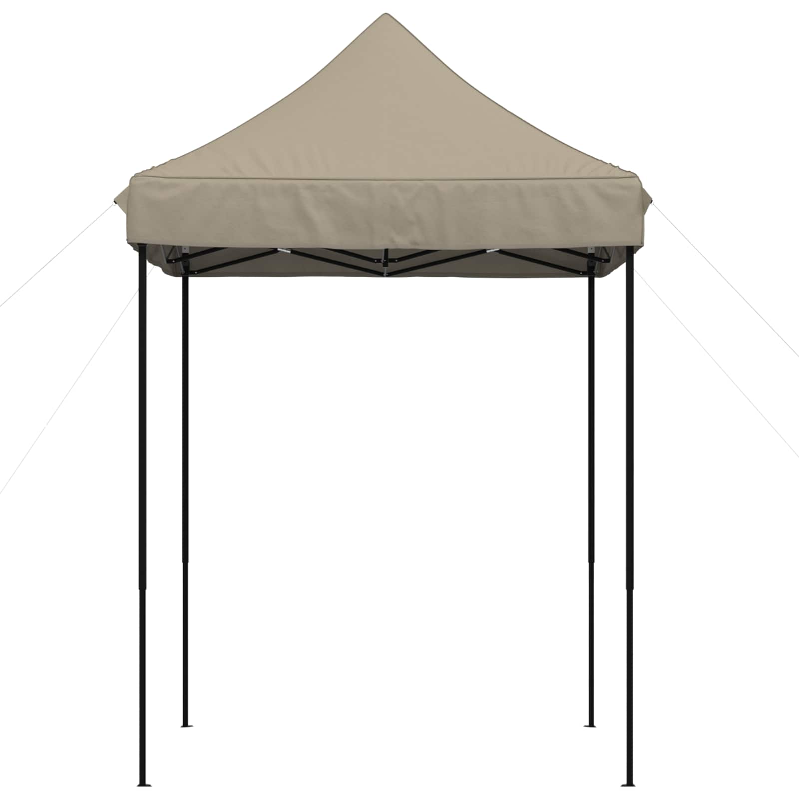 Partyzelt Faltbar Pop-Up Schwarz 200x200x306 cm