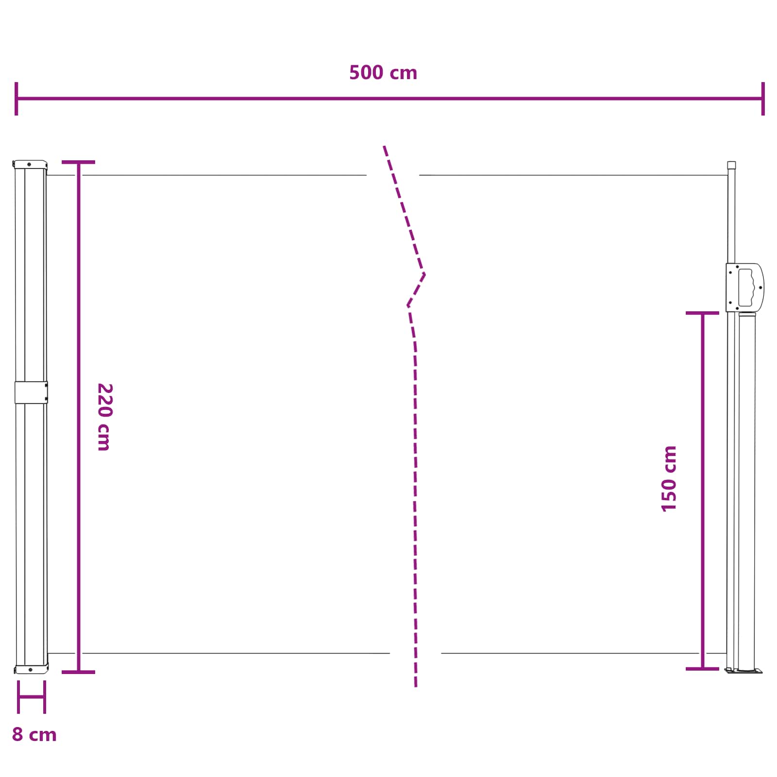 Seitenmarkise Ausziehbar Schwarz 100x300 cm