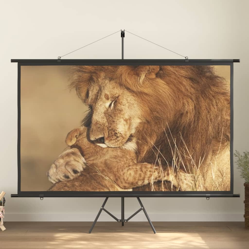 Beamer Leinwand 89" 1:1
