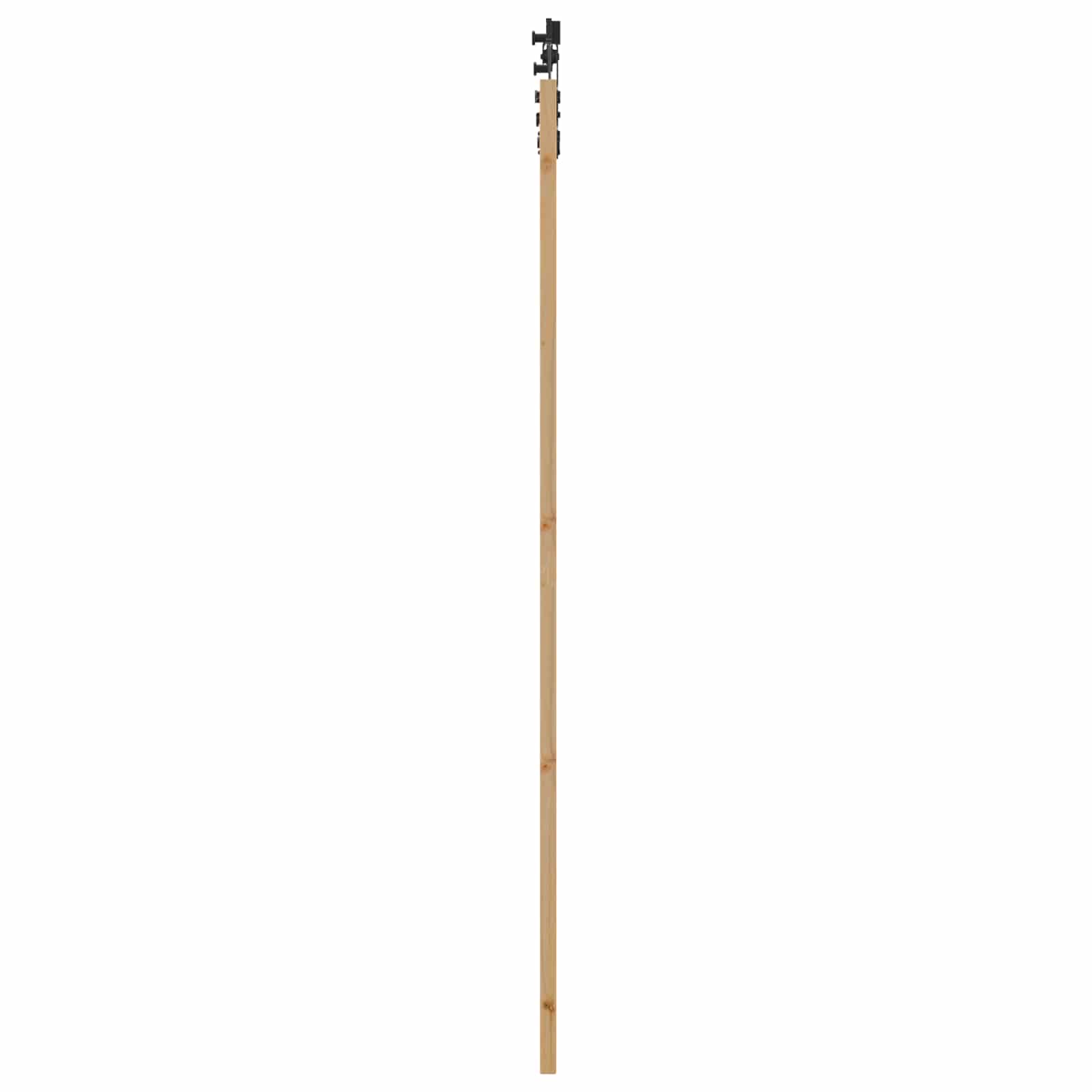 Schiebetür Natürlich und Schwarz 61 x 198,5 cm