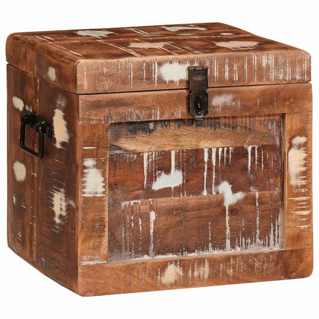 Aufbewahrungsbox mit Speicher mit Tür Braun Massivholz Mango
