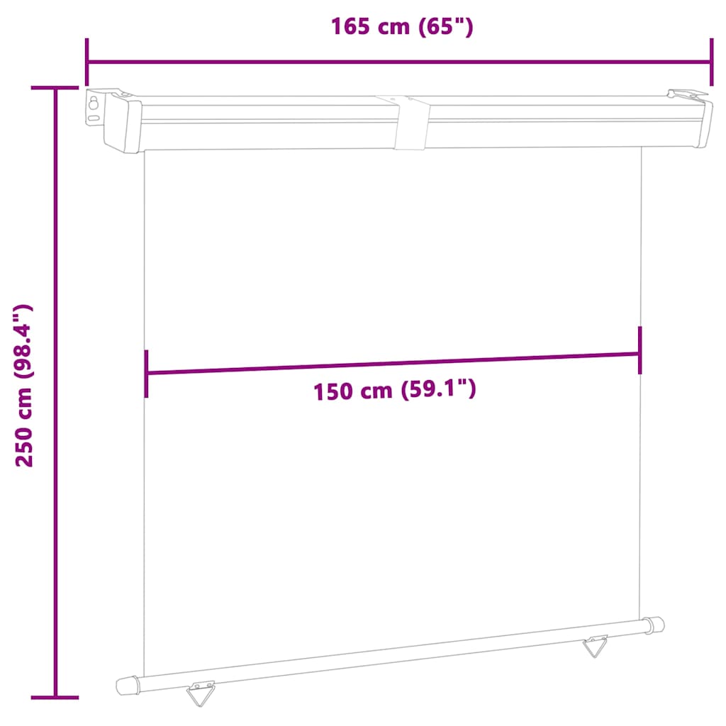 Balkon Seitenmarkise 60 x 250 cm 100% Polyester Eisen Stahl