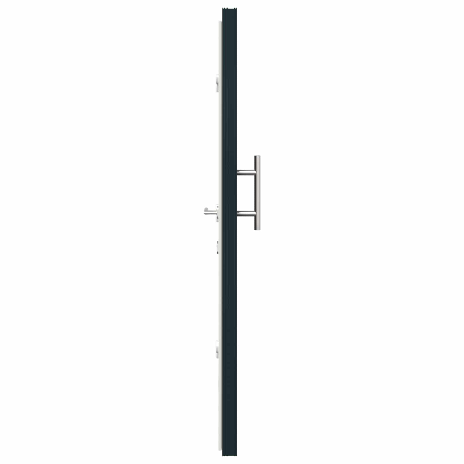 Vordertür Anthrazit 88 x 200 cm PVC