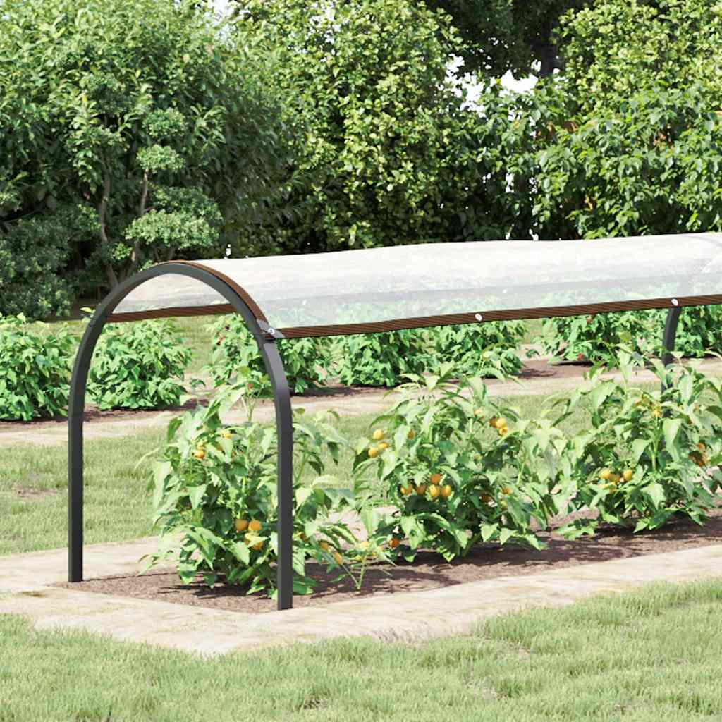 Transparente Plane mit Ösen 1x2 m Polyethylen