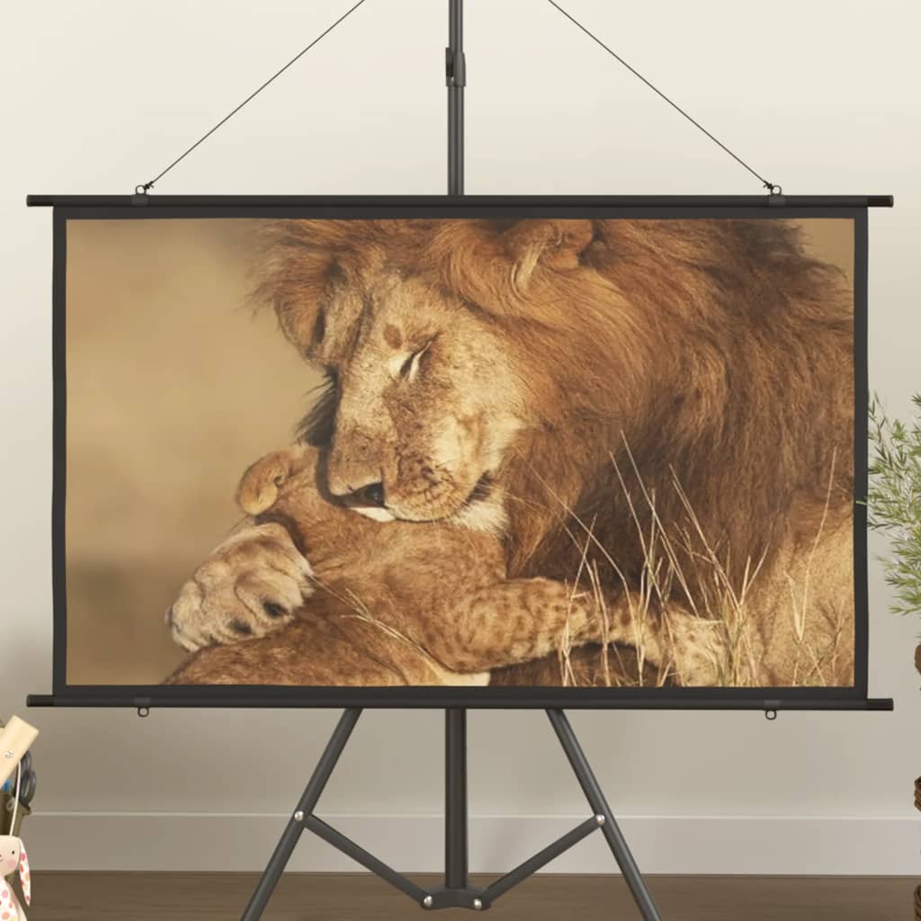 Beamer Leinwand 89" 1:1