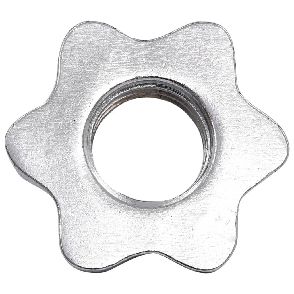 Kurzhantel mit Hantelscheiben 40 kg Gusseisen & Stahl verchromt