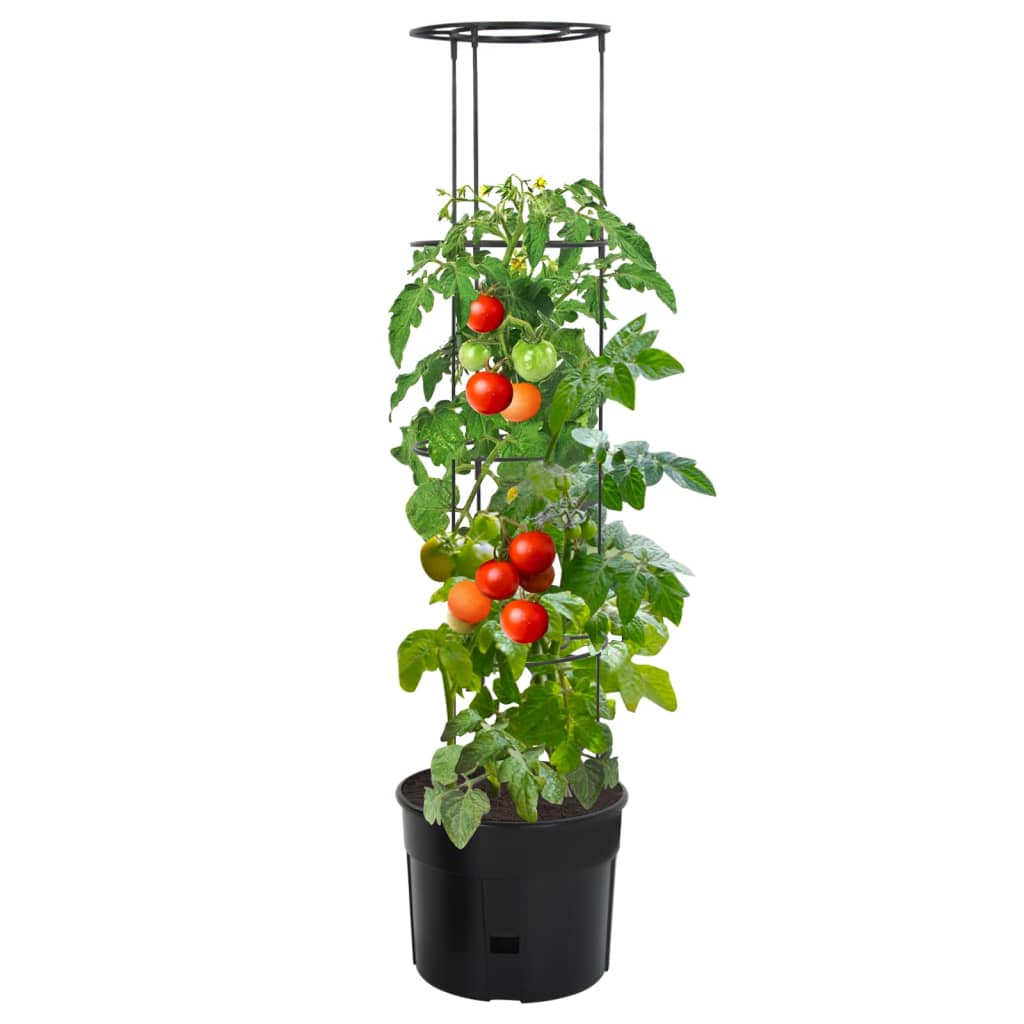 Tomatentopf Anthrazit Ø29,5x115 cm Polypropylen