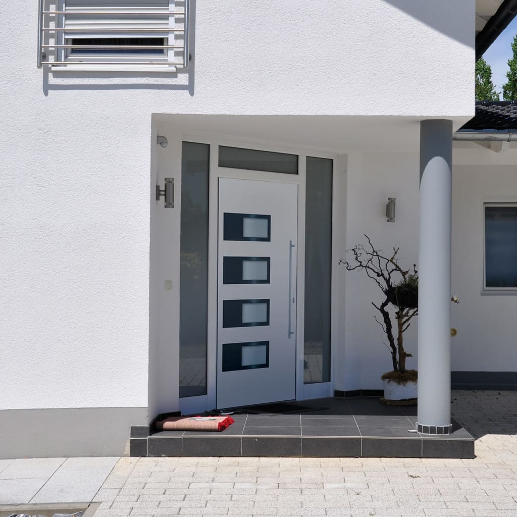 Haustür Anthrazit 100x210 cm Aluminium und PVC