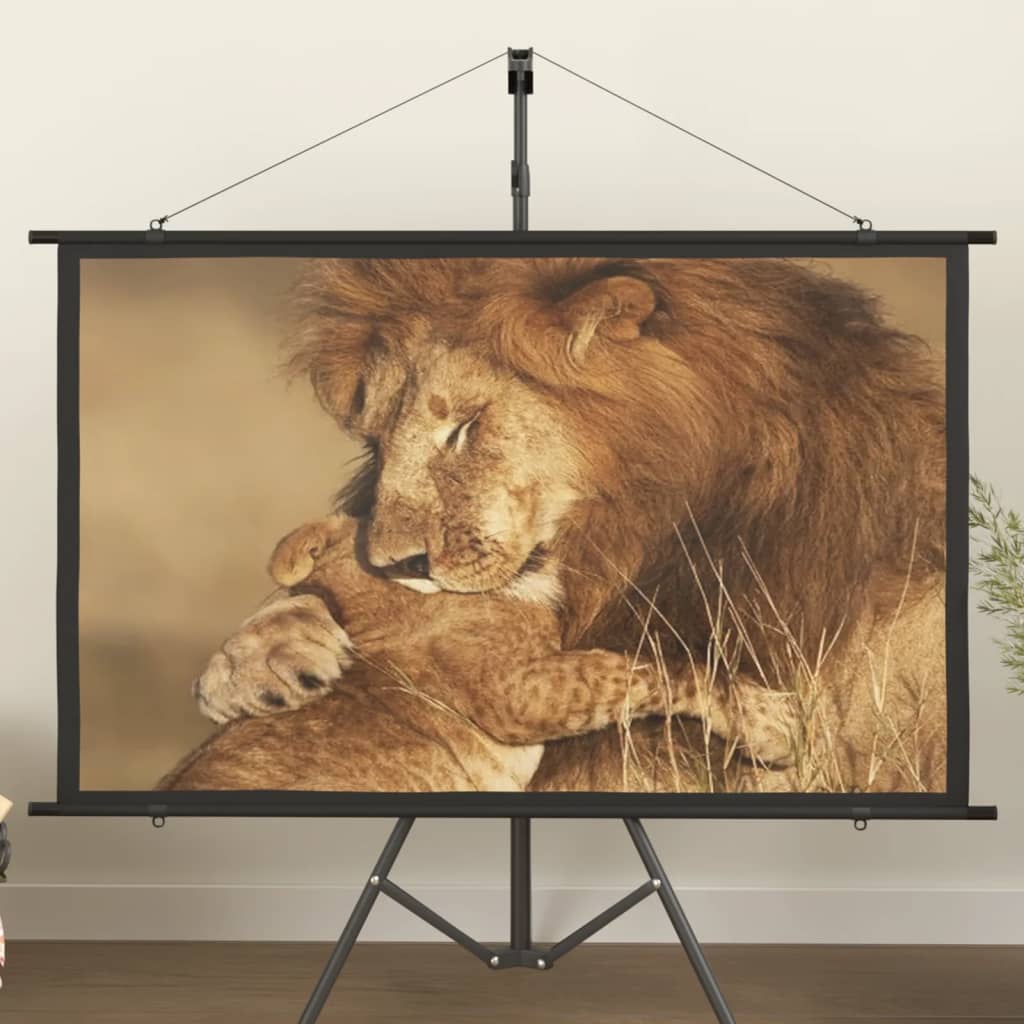 Beamer Leinwand 89" 1:1