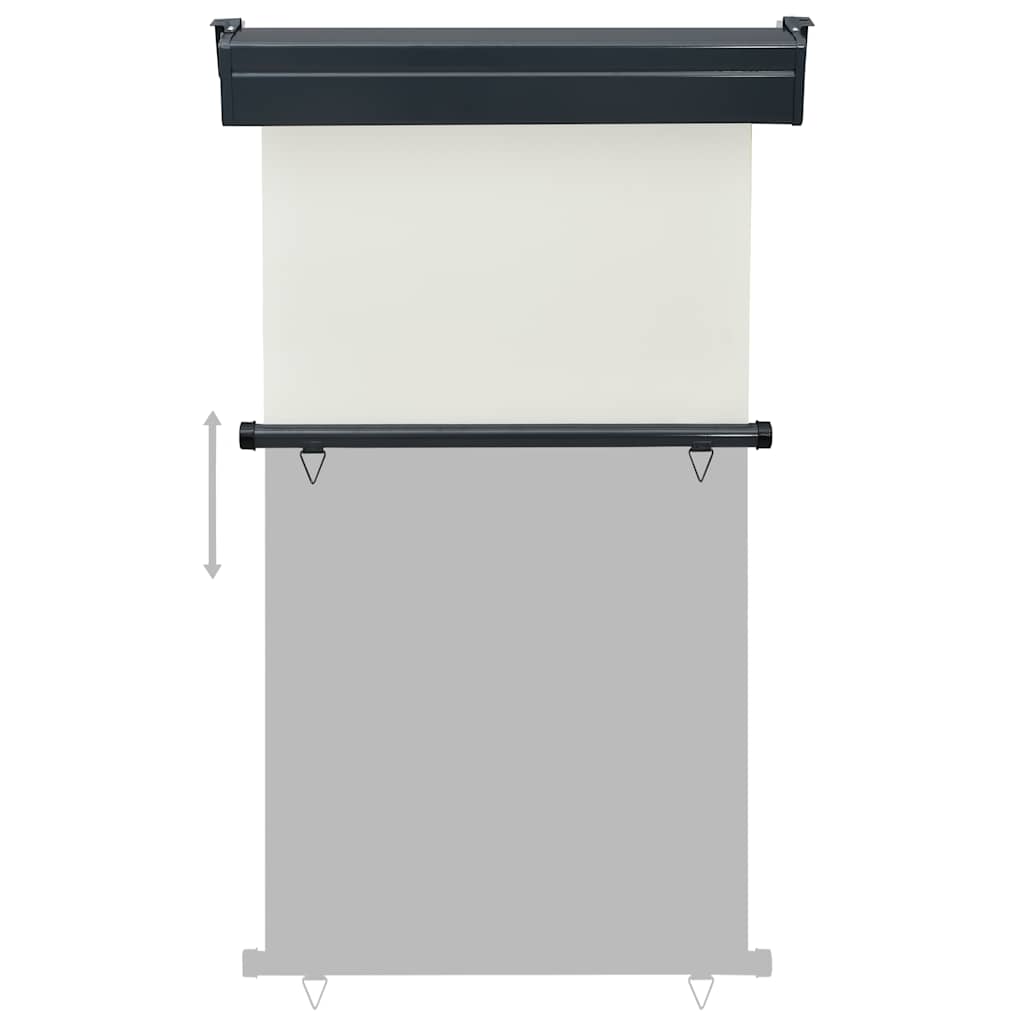 Balkon Seitenmarkise 60 x 250 cm 100% Polyester Eisen Stahl