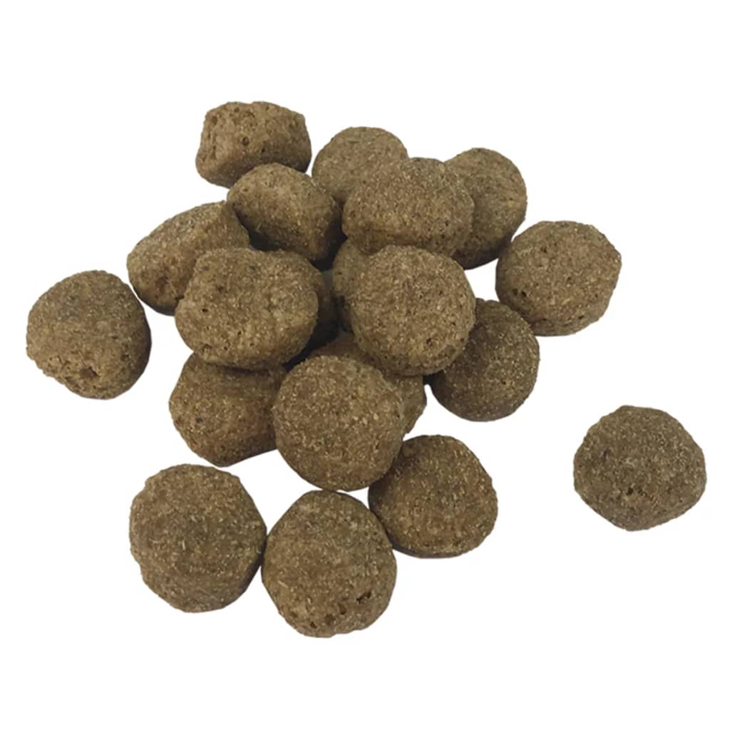 Trockenfutter für Hunde Adult Active Chicken & Fish 15 kg