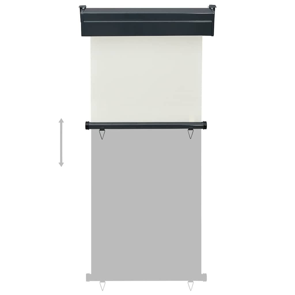 Balkon Seitenmarkise 60 x 250 cm 100% Polyester Eisen Stahl