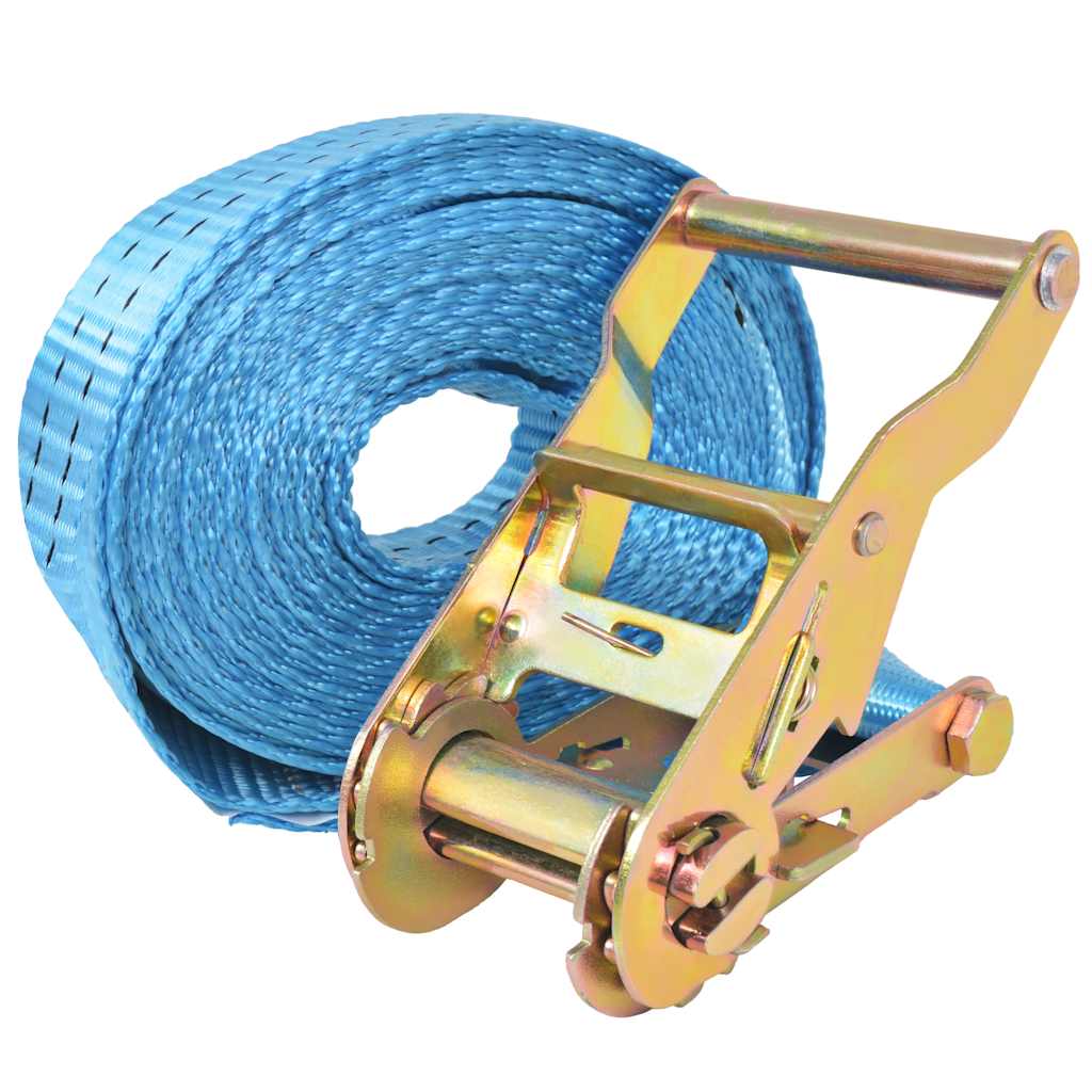 Ratschen-Spanngurte 4 Stk. 0,8 Tonnen 6m×25mm Blau