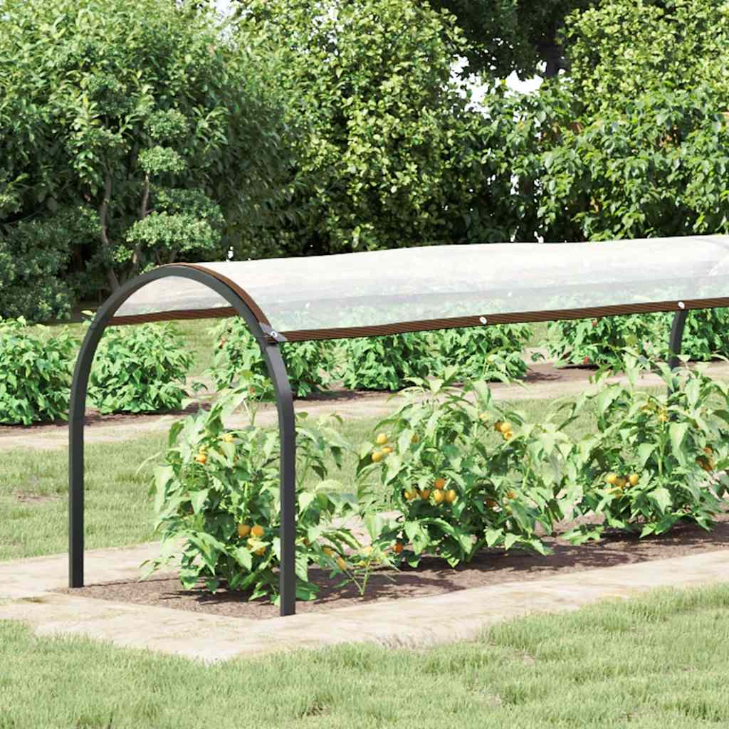 Transparente Plane mit Ösen 1x2 m Polyethylen