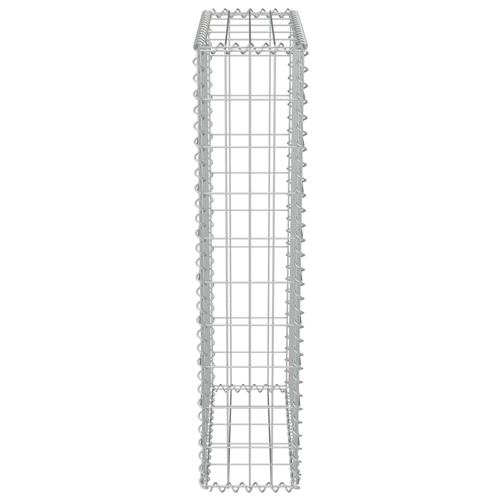 Gabionenwand mit Abdeckung Verzinkter Stahl 20×20×100 cm