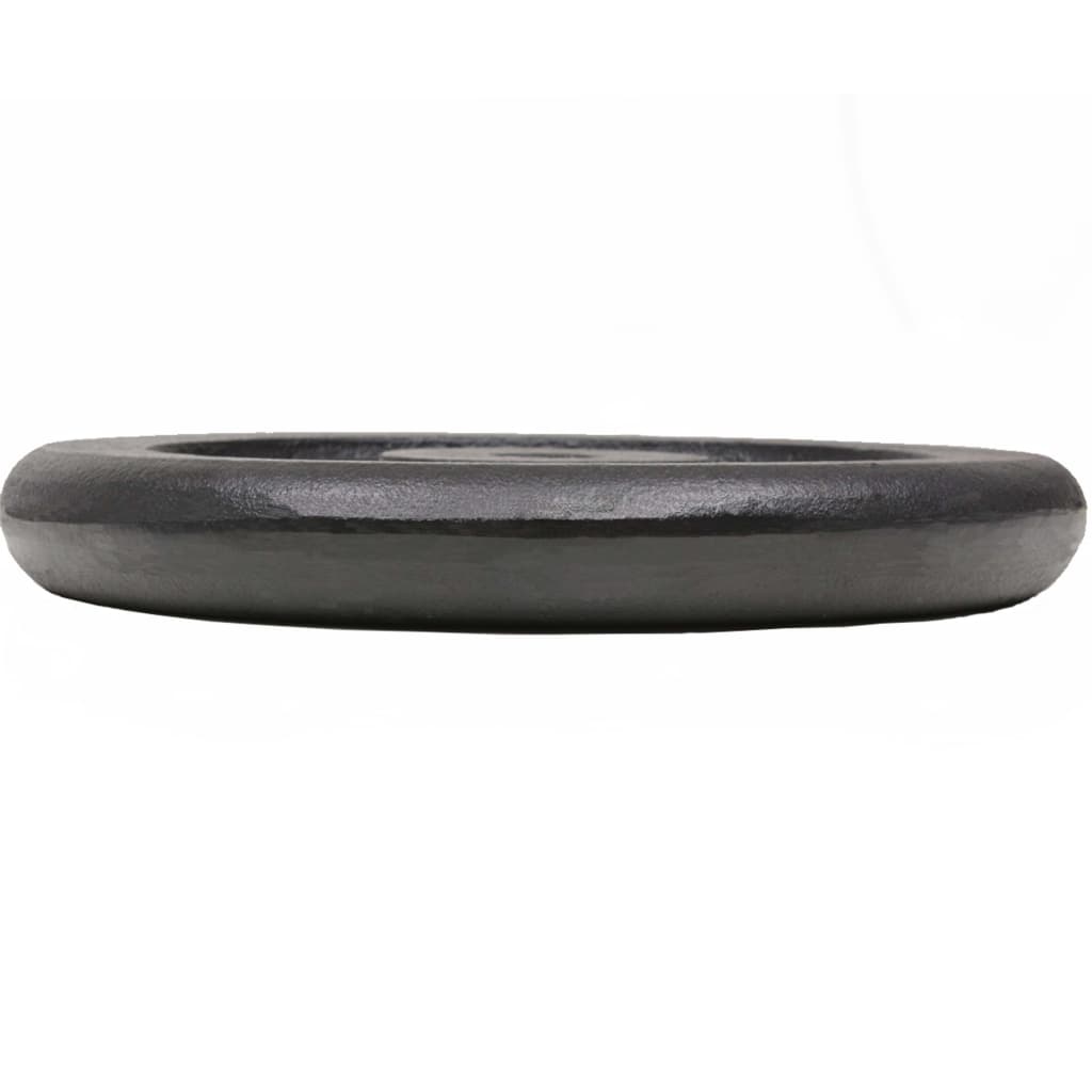 Hantelscheibe 40 kg Gusseisen