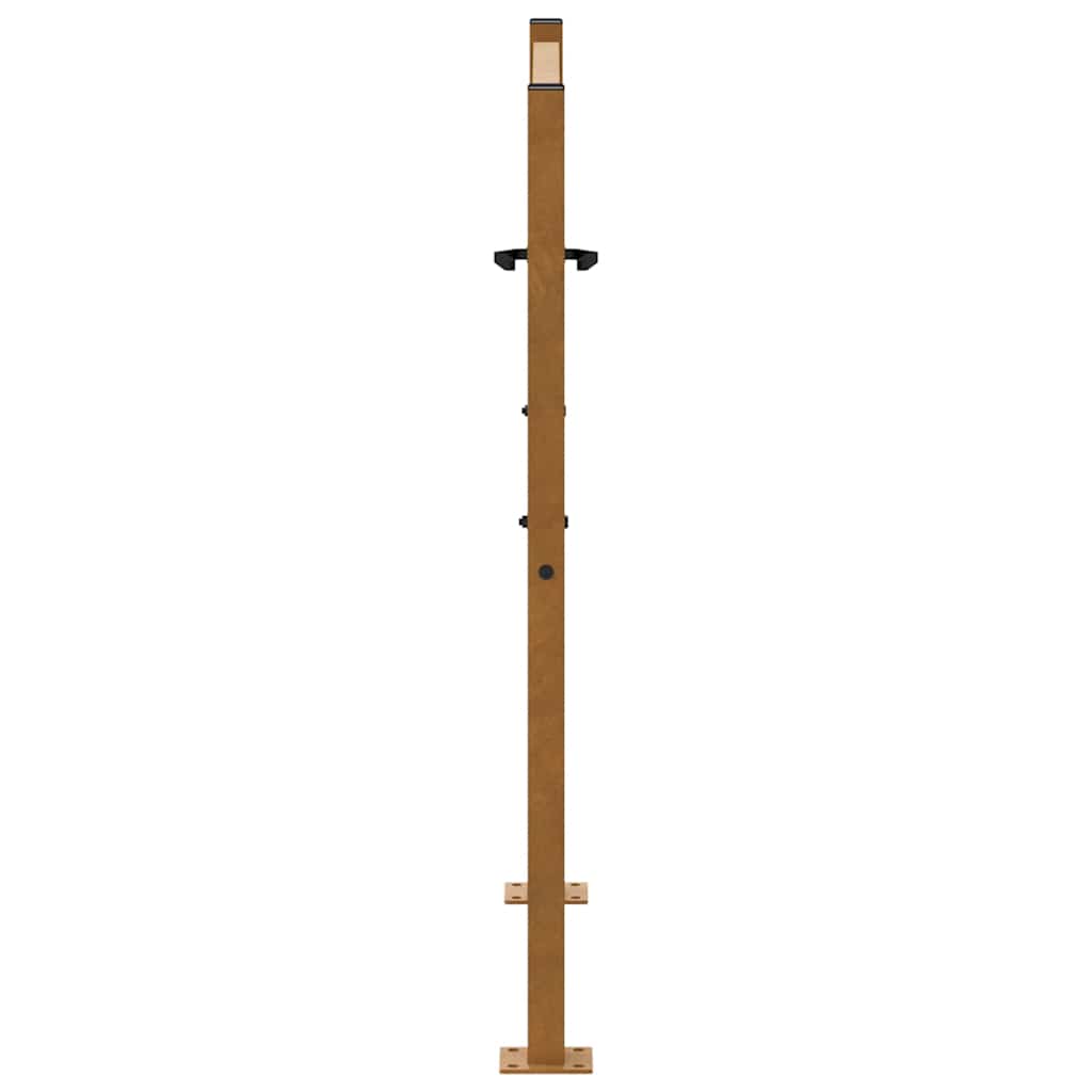 Gartentor Schwarz 100x100 cm Stahl Lichtdesign