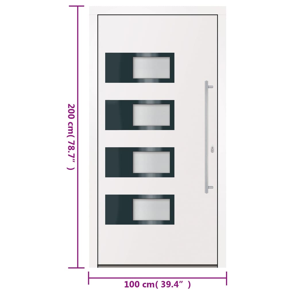 Haustür Anthrazit 100x210 cm Aluminium und PVC