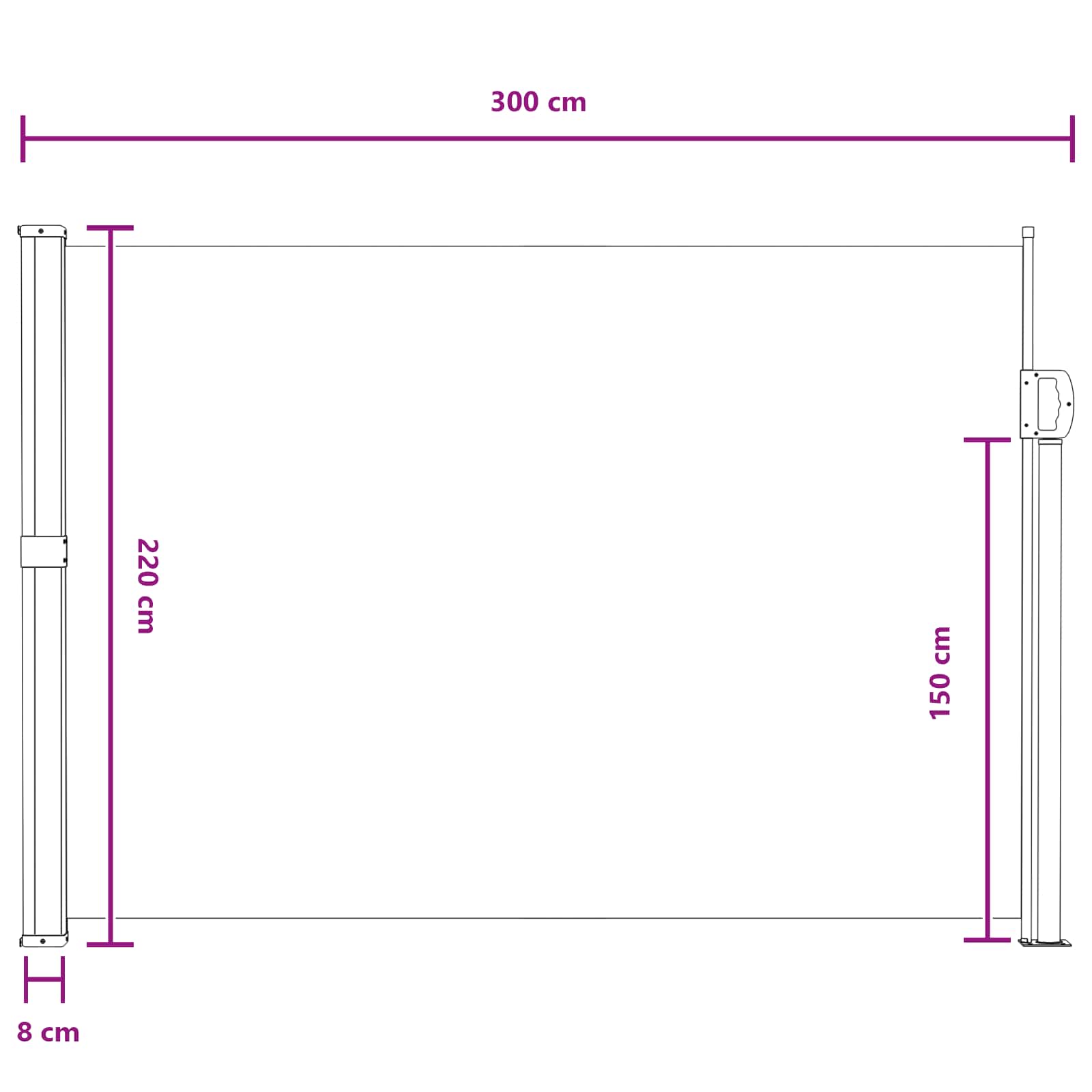 Seitenmarkise Ausziehbar Schwarz 100x300 cm