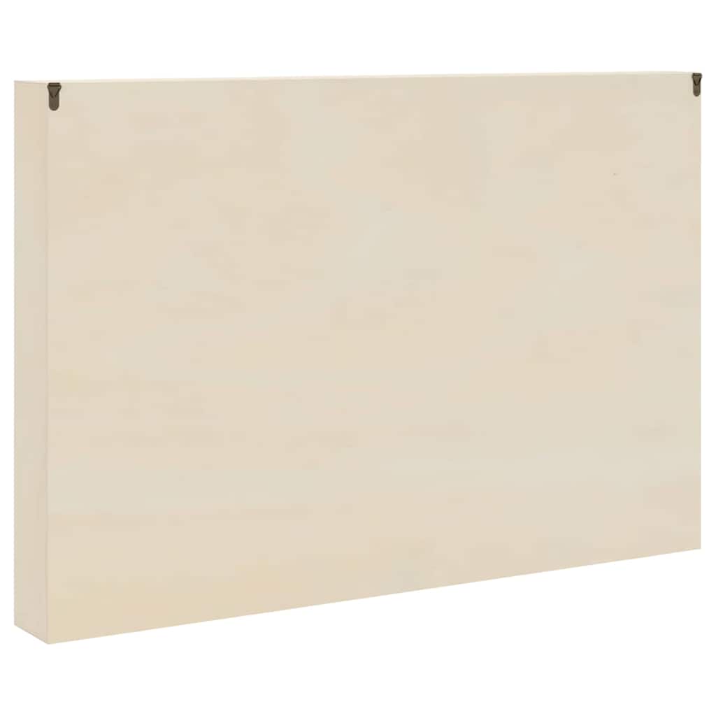 Sammlervitrine aus Holz mit Türen 40x8,5x37 cm