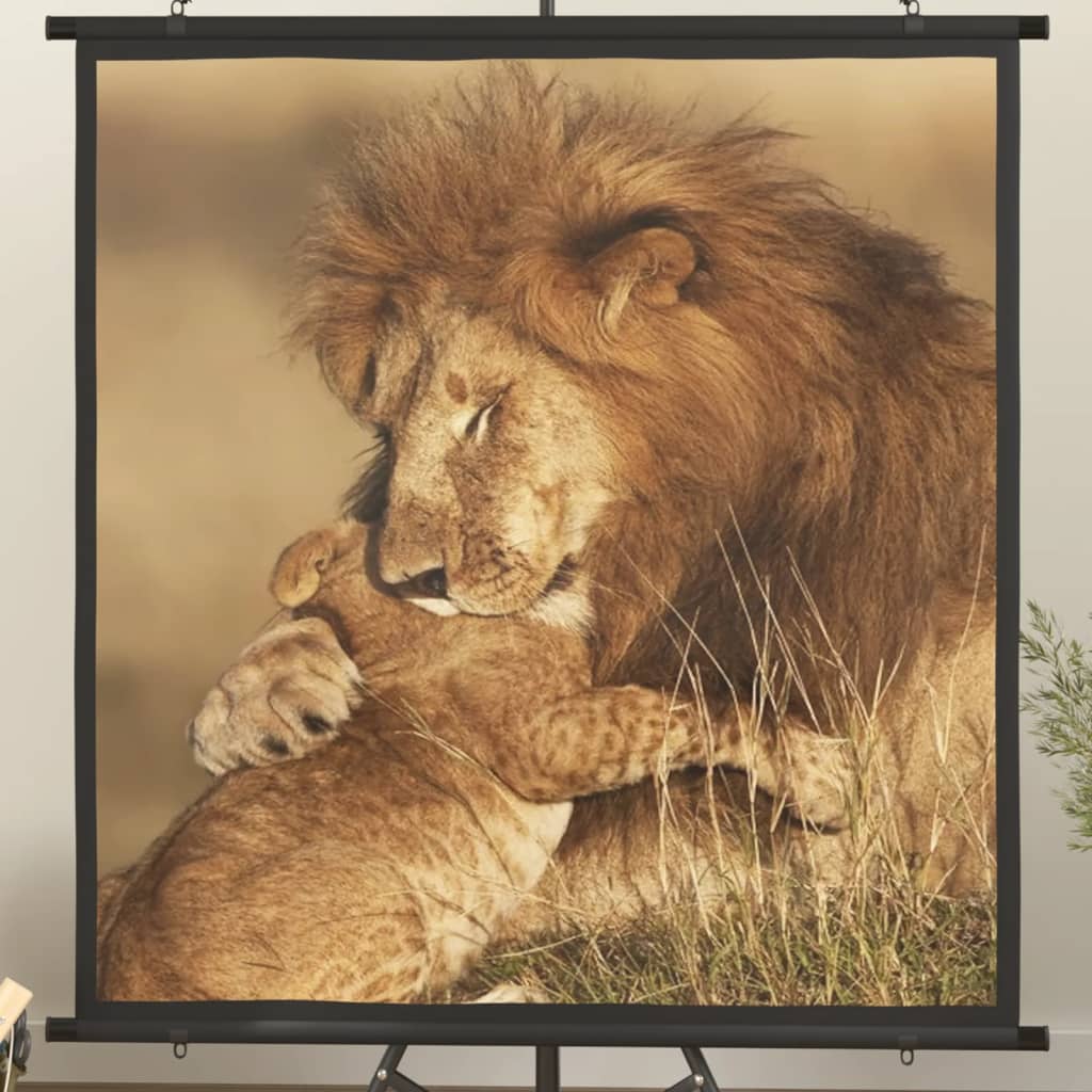 Beamer Leinwand 89" 1:1