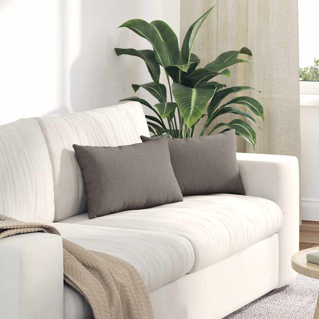 Sofakissen 2 pcs Hellgrau 50 x 30 cm Stoff