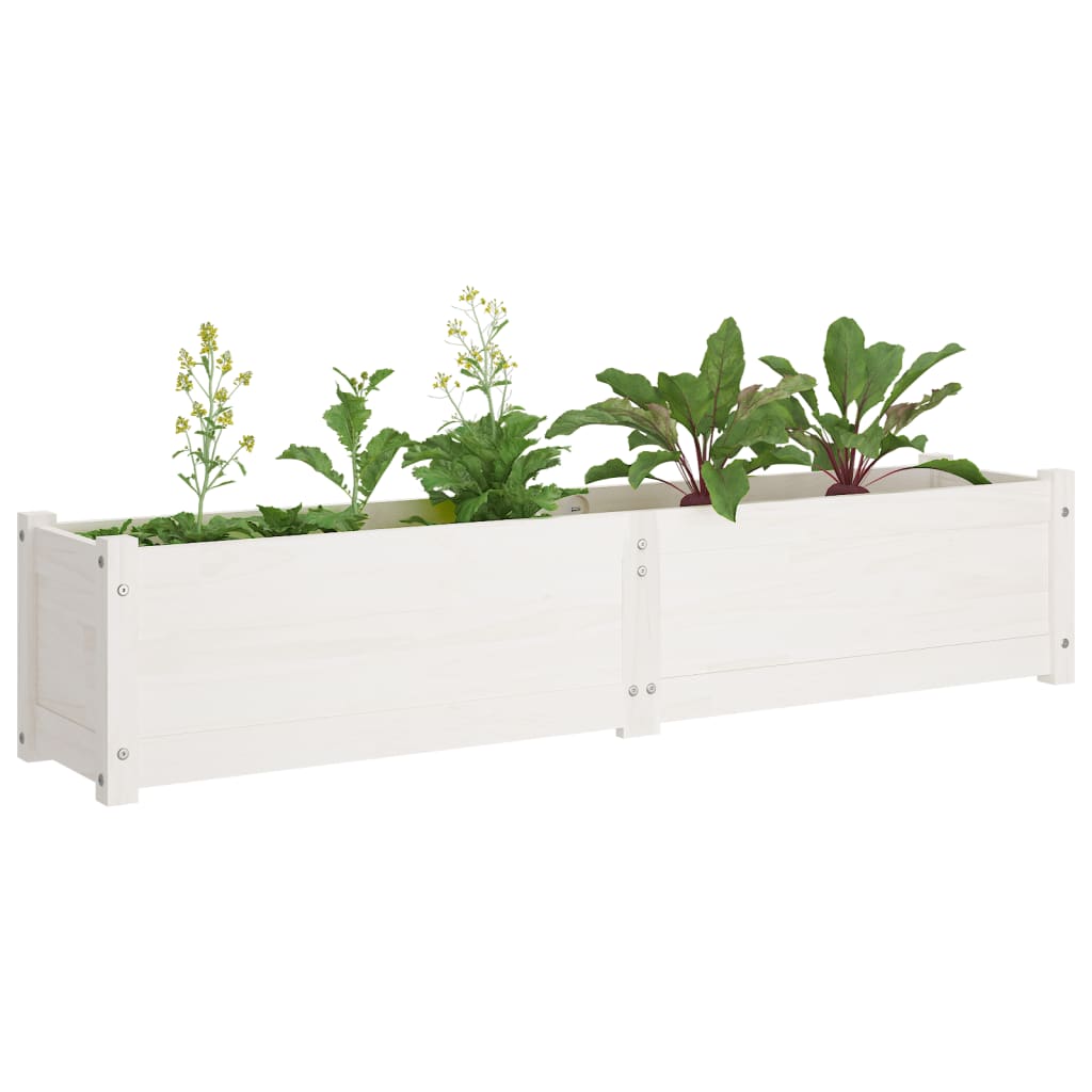 Garten-Hochbeete 2 Stk. Weiß 150x31x31 cm Massivholz Kiefer