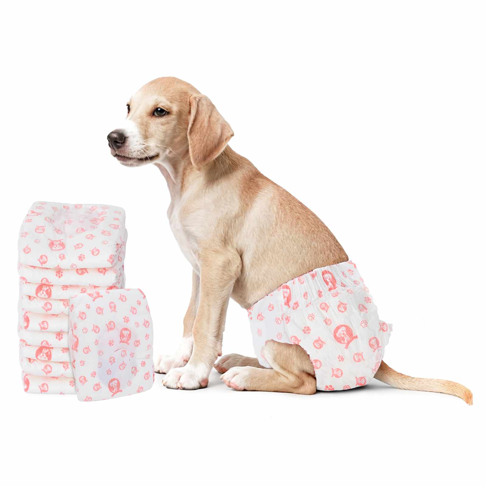 Einweg-Hundewindel für Rüden 30 pcs Weiß XS