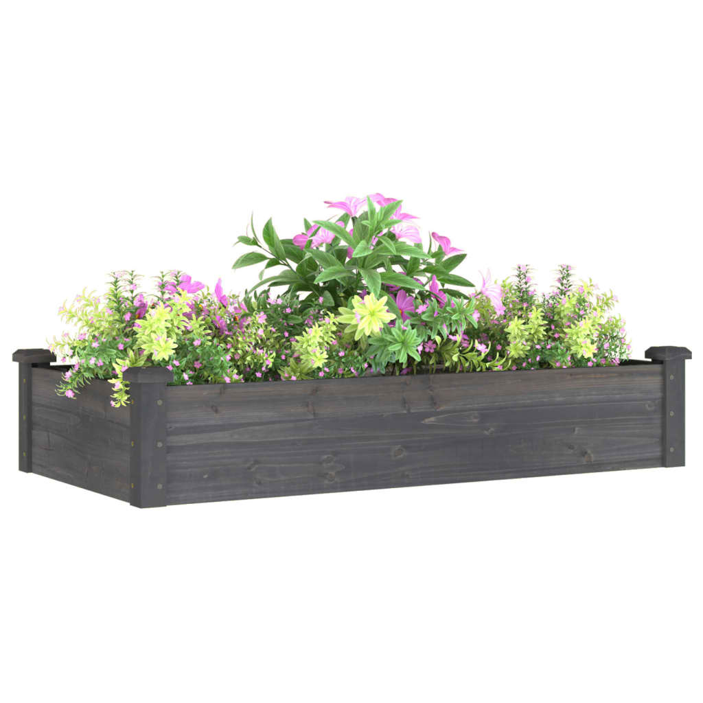Hochbeet mit Einsatz Grau 120x45x25 cm Massivholz Tanne