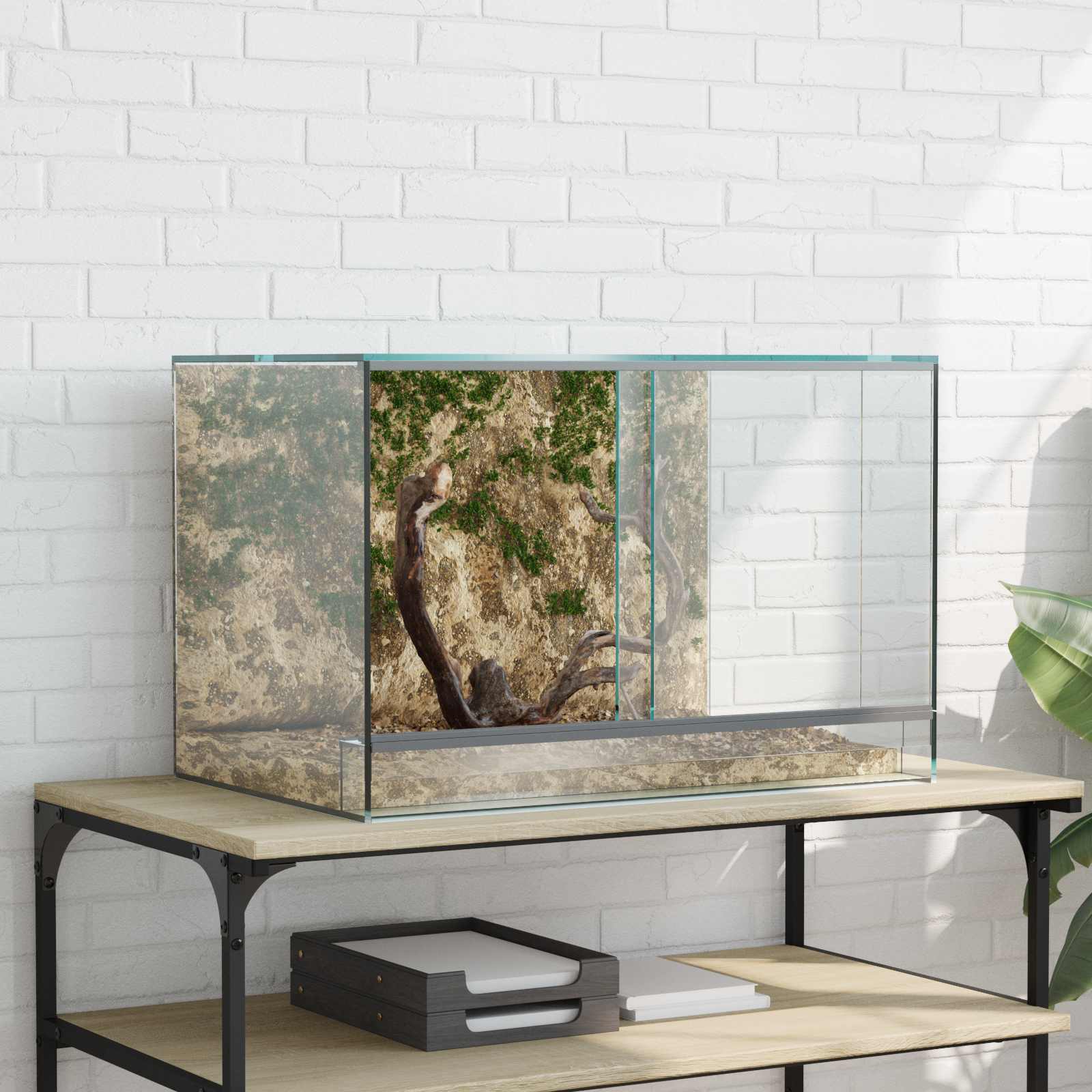 Terrarium mit Speicher Transparent 30 x 30 x 30 cm Glas