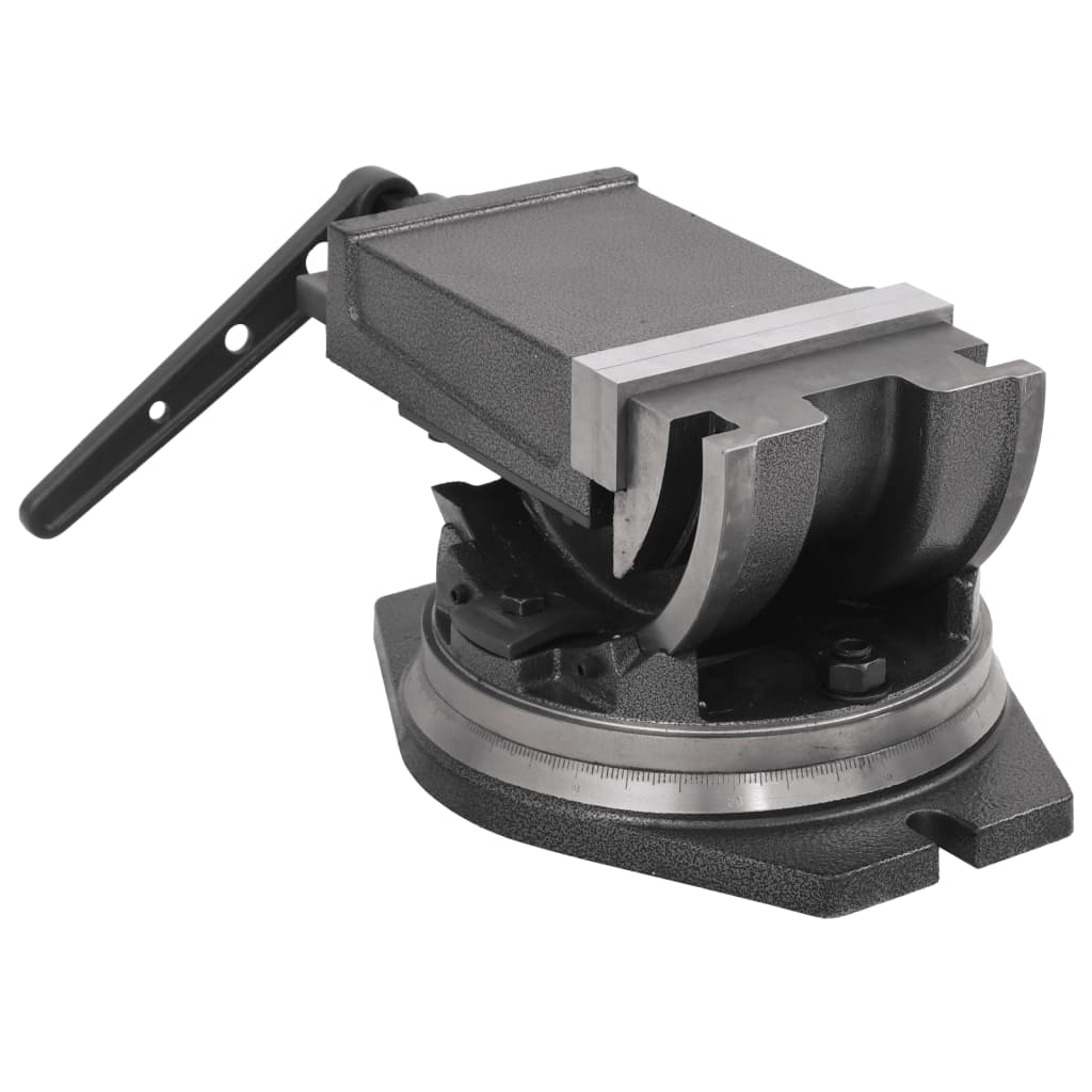 2-Achsen-Schraubstock Kippbar 100 mm
