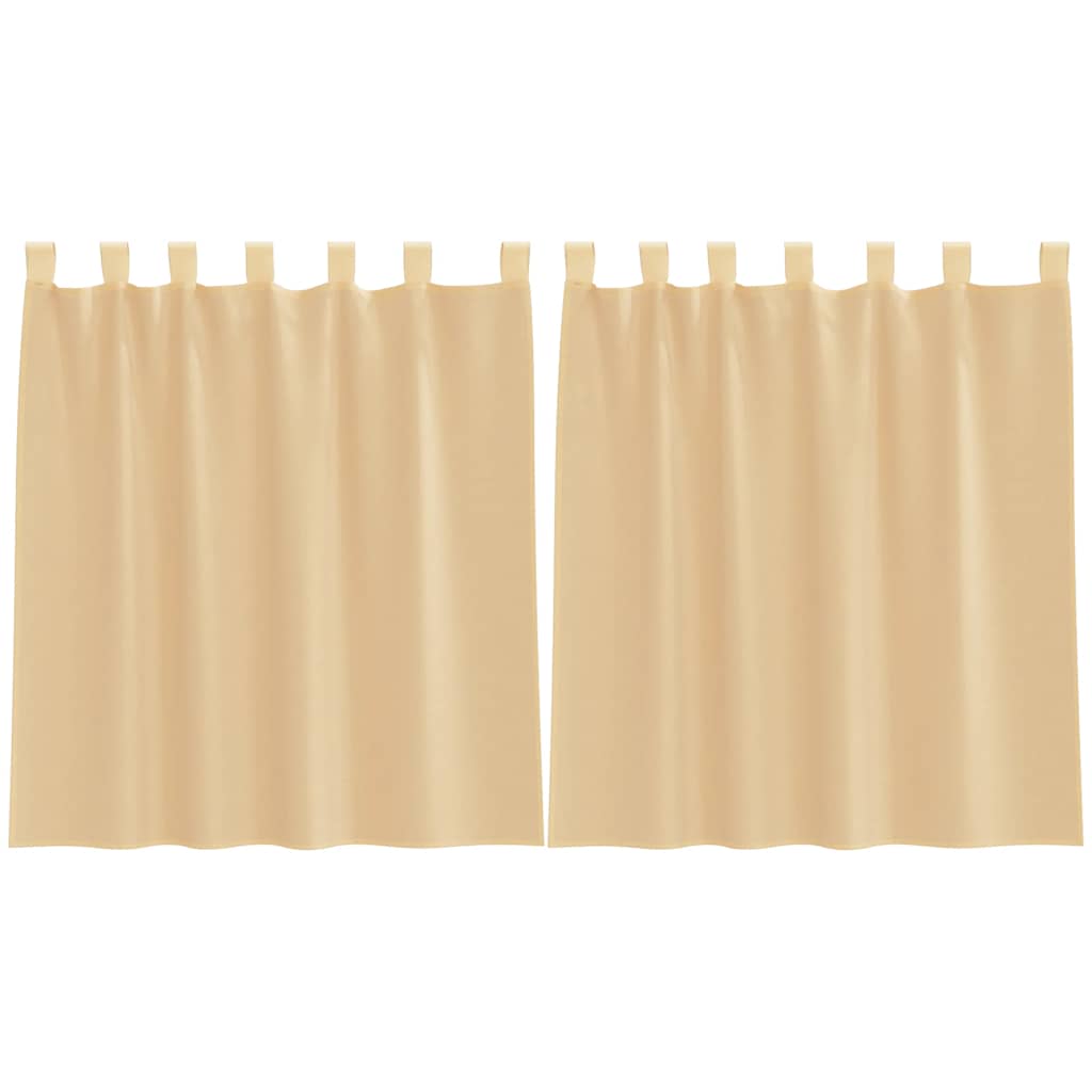 Voile Vorhänge mit Ösen 2 Stk. Apfelgrün 140x140 cm