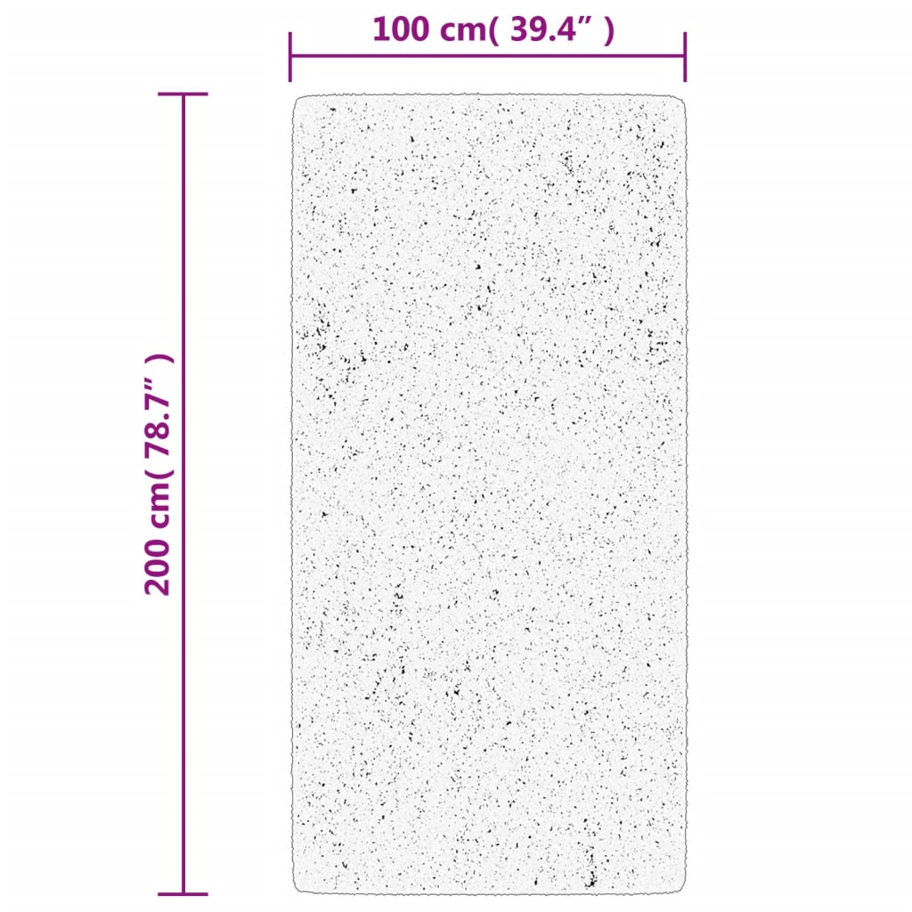 Teppich IZA Kurzflor Skandi-Stil Anthrazit 80x150 cm