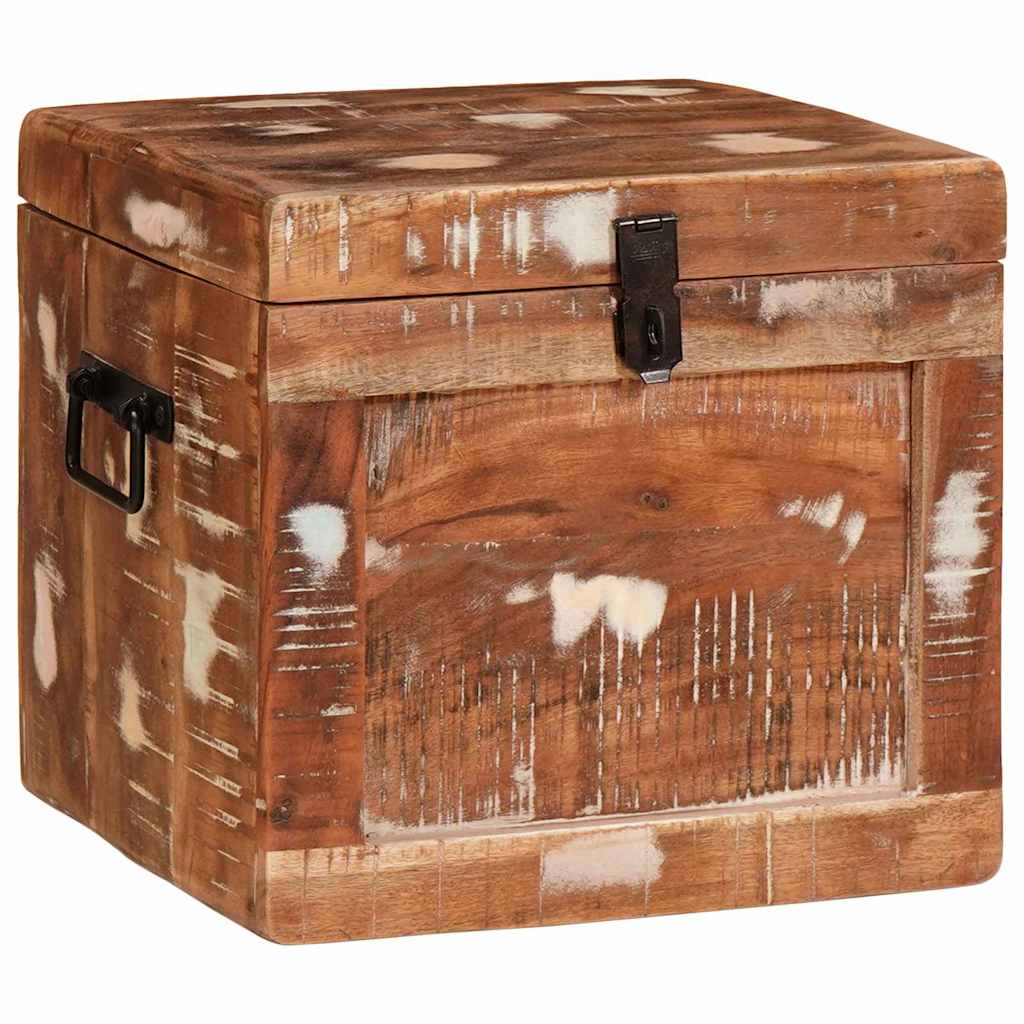 Aufbewahrungsbox mit Speicher mit Tür Braun Massivholz Mango