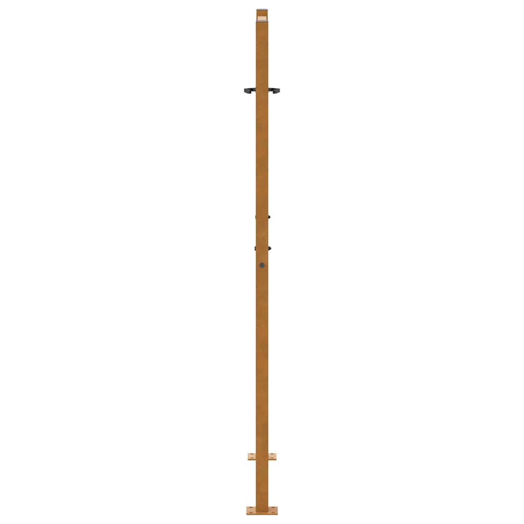 Gartentor Schwarz 100x100 cm Stahl Lichtdesign